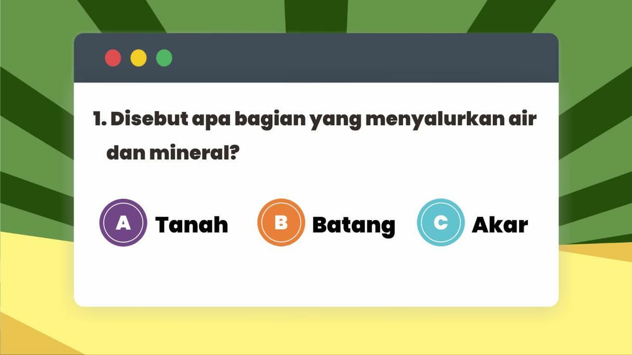 Game Struktur dan Bagian Tumbuhan screenshot 5