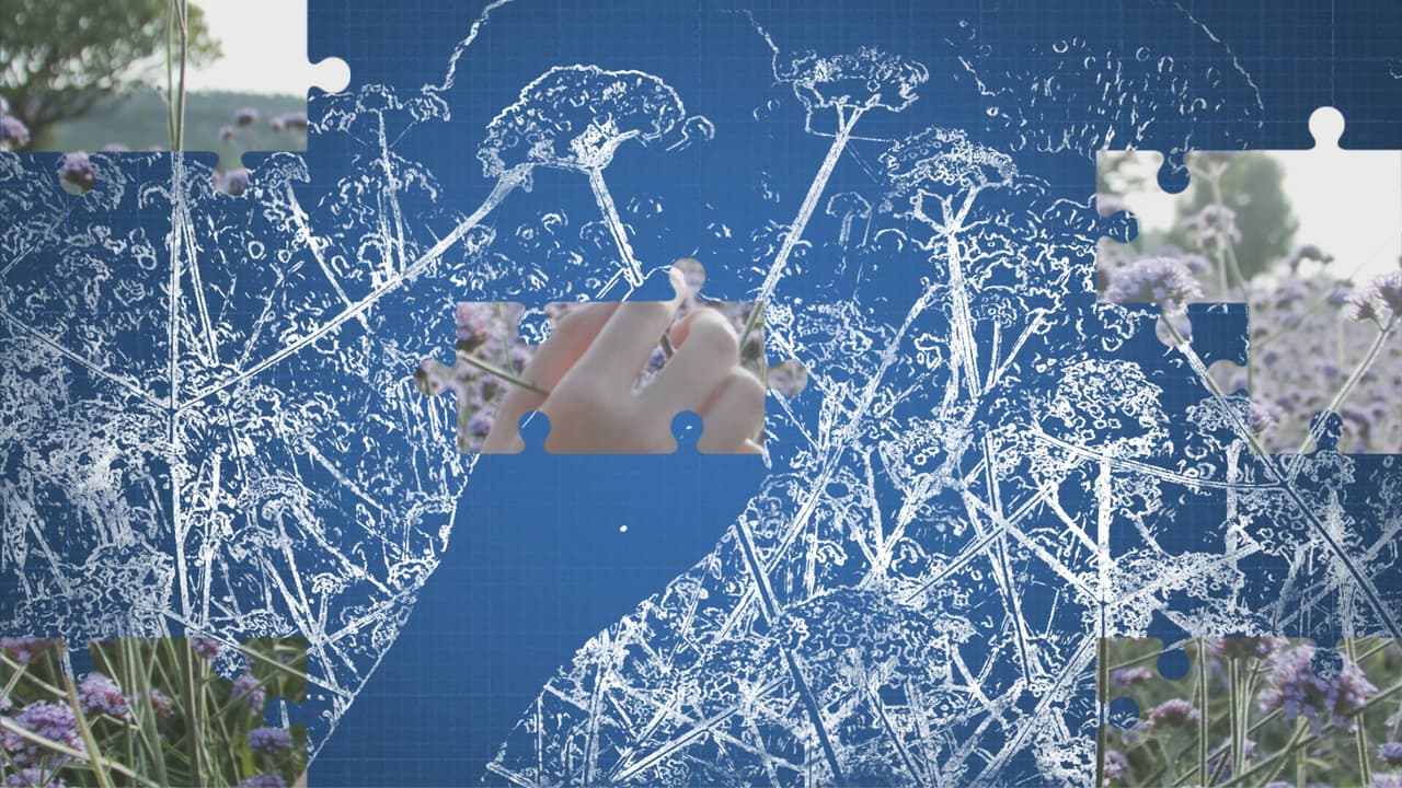 动绘（Drawing） screenshot 2