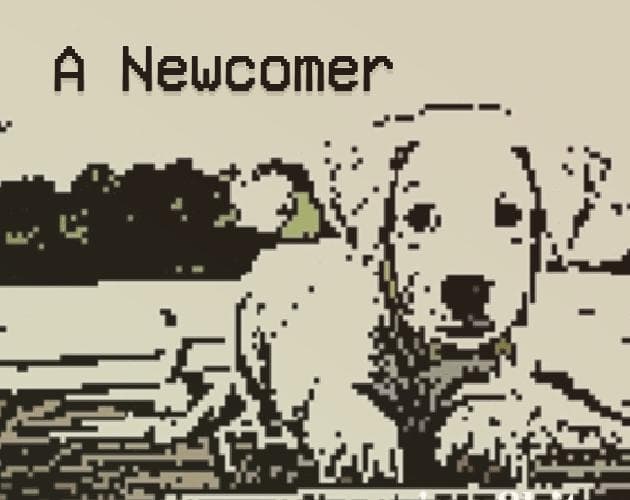 A Newcomer