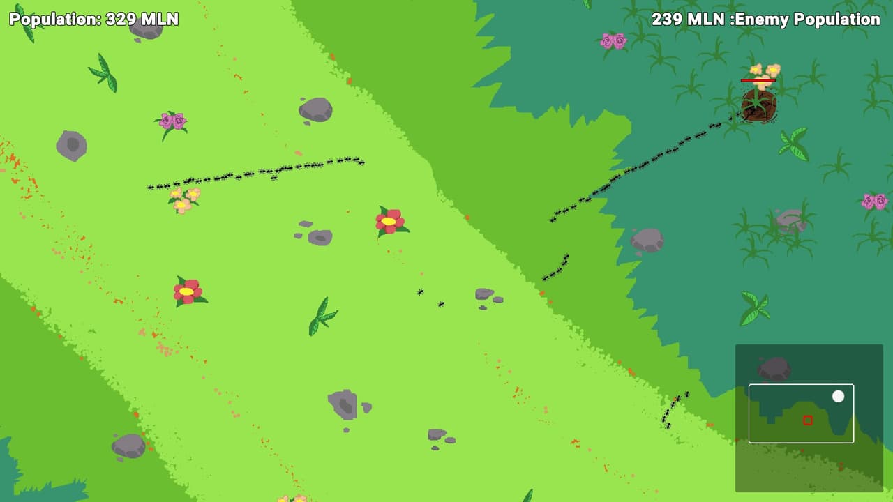 A meadow with lots of ants