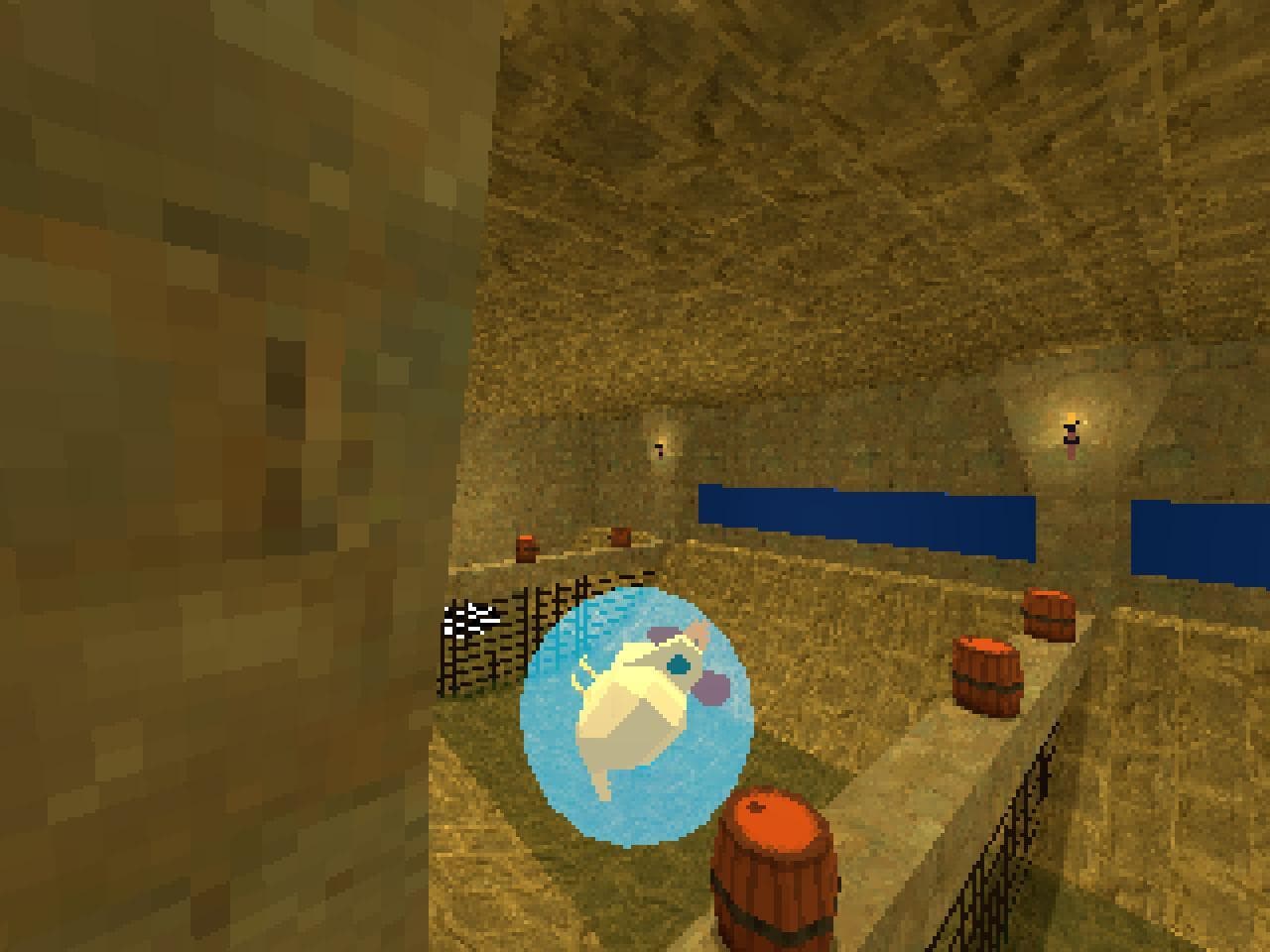 Castle Chicken Run