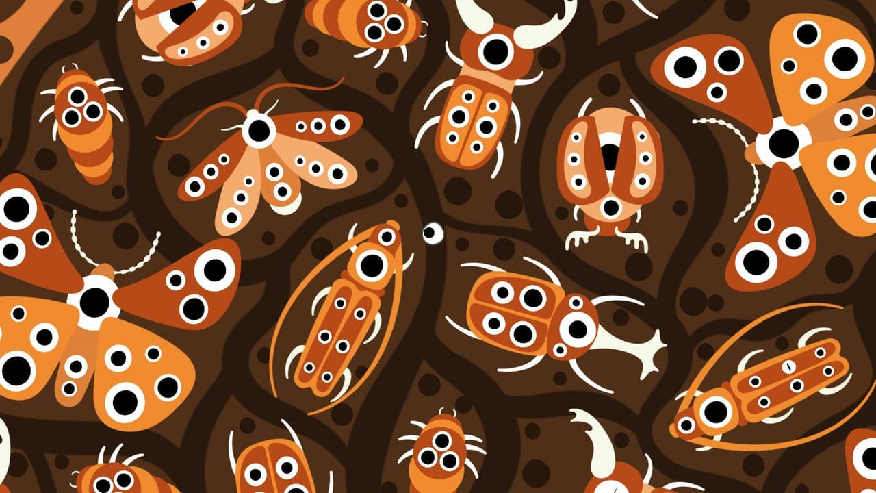 ROLL (Nicolas Zelv) screenshot 5