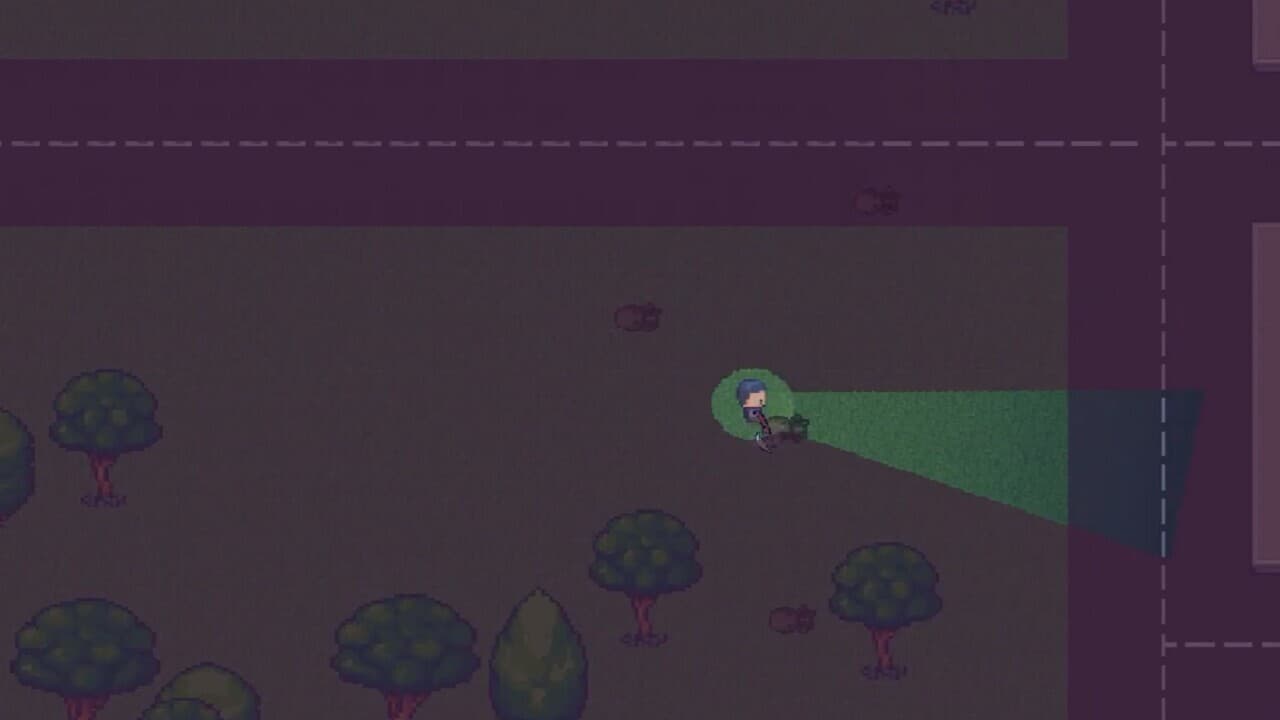 RZR screenshot 5