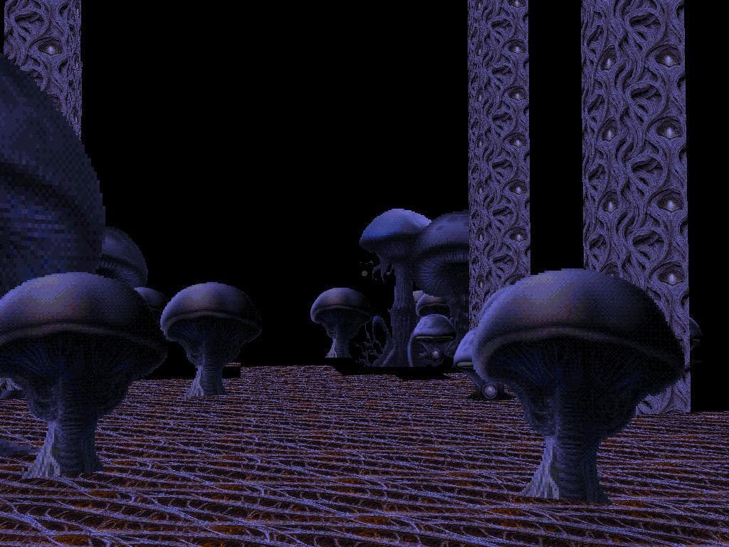 Celebration of Forgotten screenshot 5