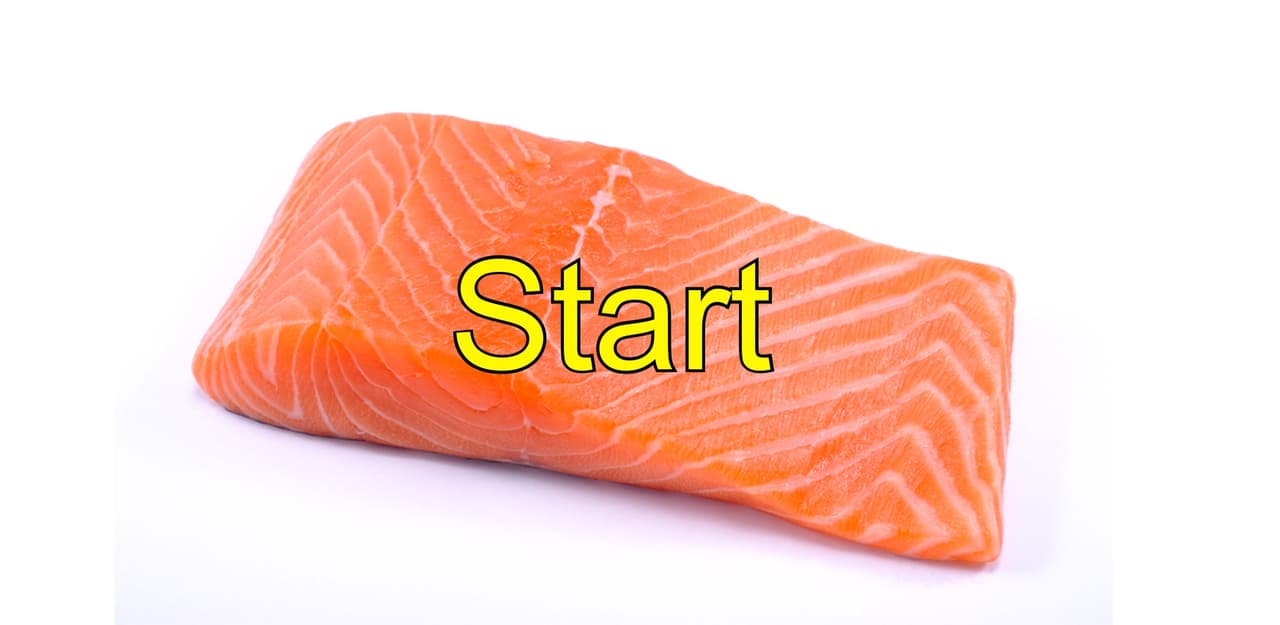 Saumon Premier