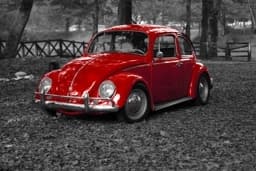 beetle (Kostya Saintly)