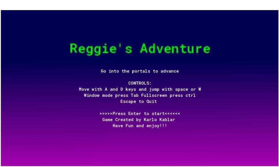 Reggies Adventure screenshot 2