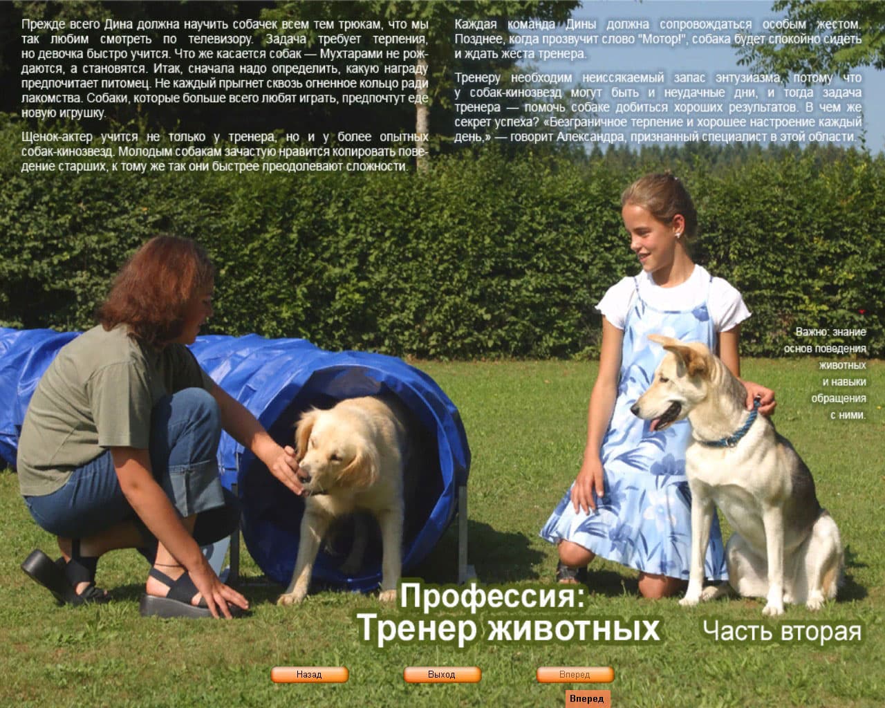 Paws & Claws: Pet School screenshot 6