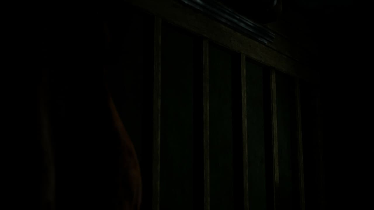 Shadow Plays