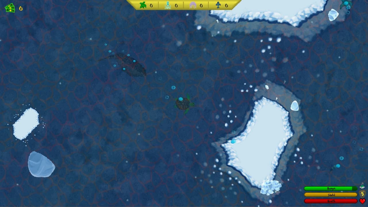 Turtle Trial