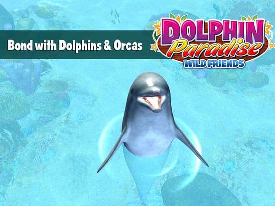 Dolphin Paradise - All Access screenshot 3
