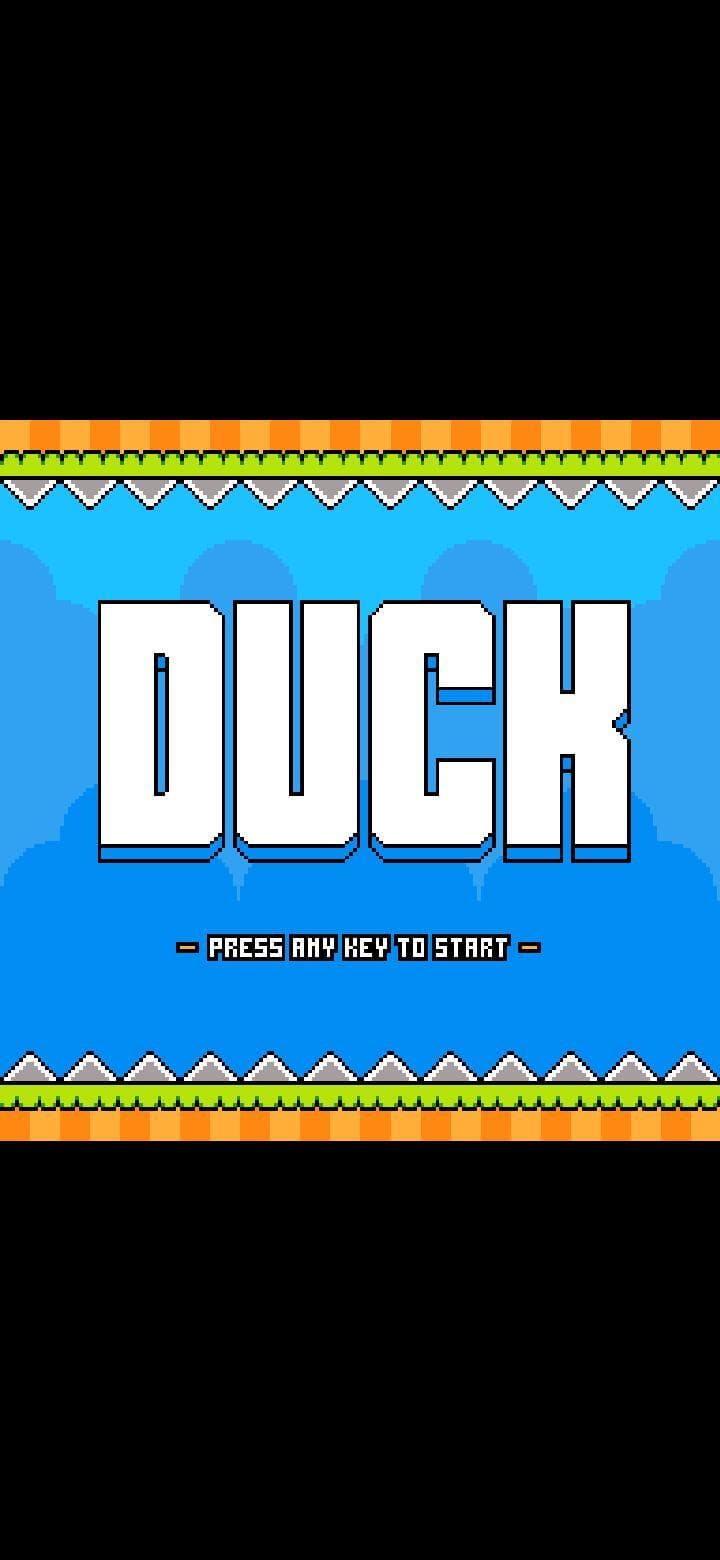 Duck (itch) (Felipe Gamedev) screenshot 2