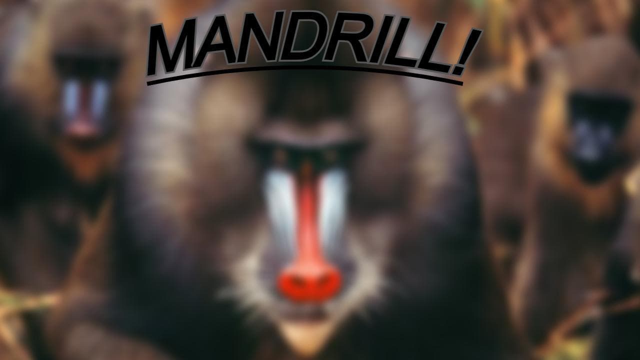 Mandrill