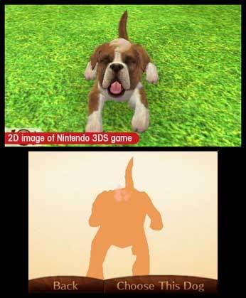 nintendogs + cats: Toy Poodle & New Friends