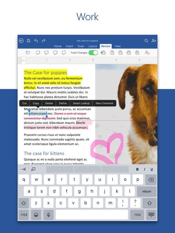 Microsoft Word screenshot 4