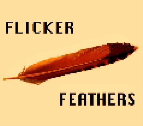 Flicker Feathers (dan990878)