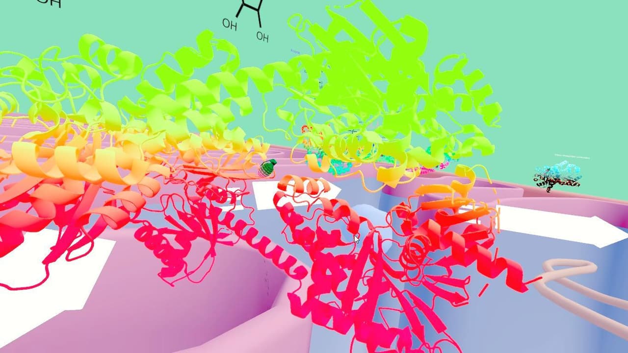Glycolysis pathway screenshot 3