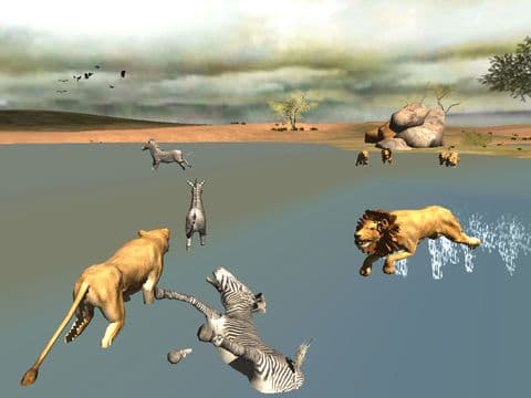 Africa Wild