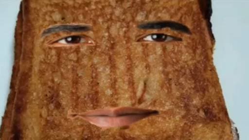 Grilled Flappy Obama Sandwich