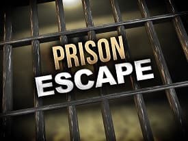 Choose your escape