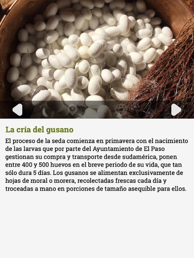 El Paso: El arte de la seda screenshot 2