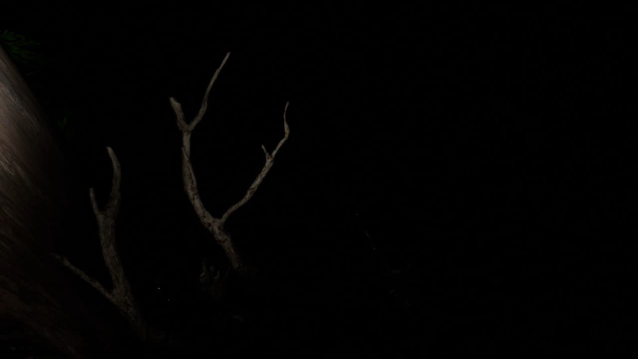 Kings Lair screenshot 5