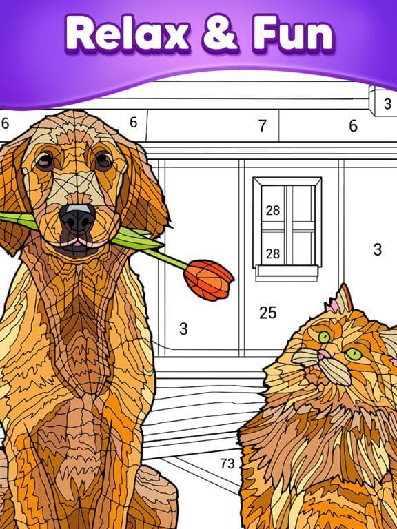Color By Number - Color Match