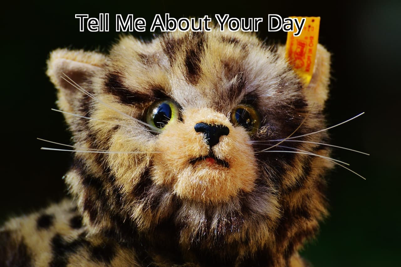 Tell Me About Your Day