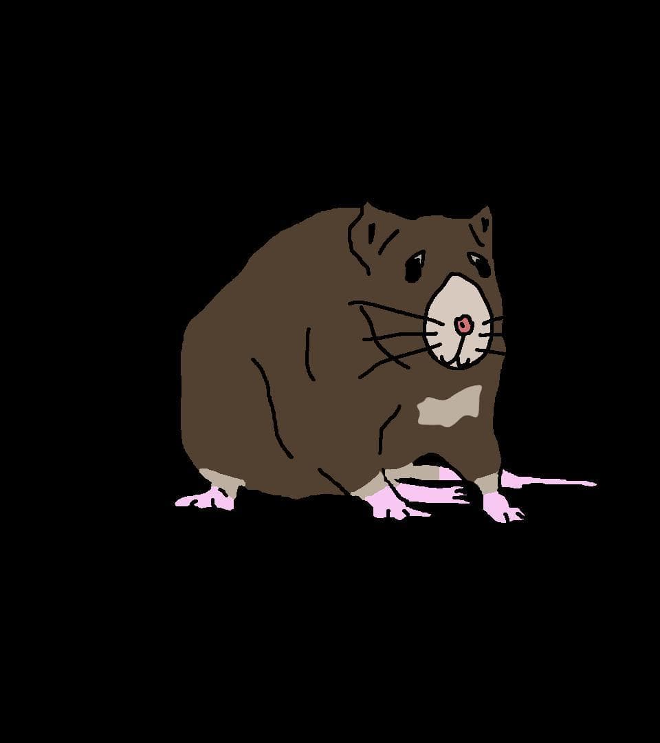 Ratthew The Bastard