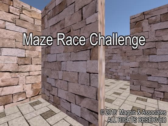 Maze Race Challenge screenshot 2
