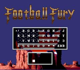 Football Fury screenshot 3