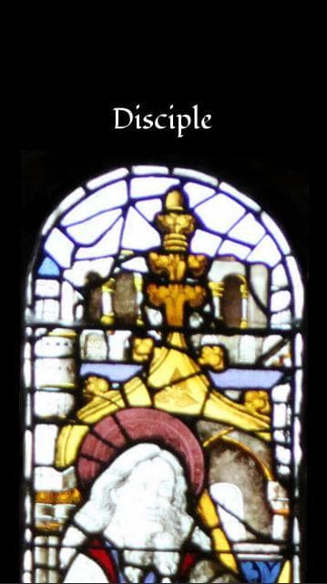 Disciple (tiopa) screenshot 2