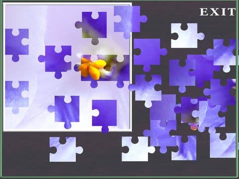 A Flower Puzzle Game screenshot 2