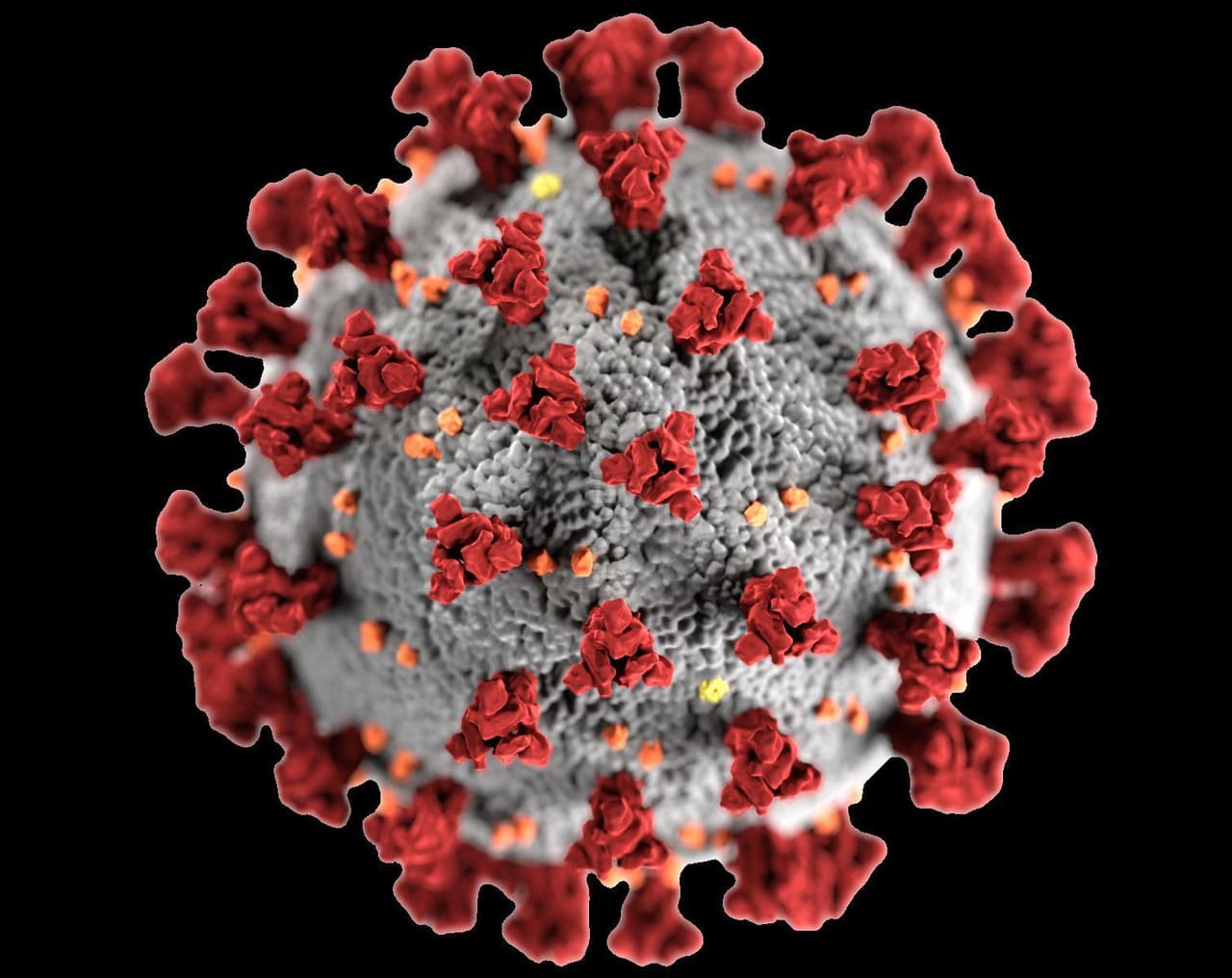 Find The Virus