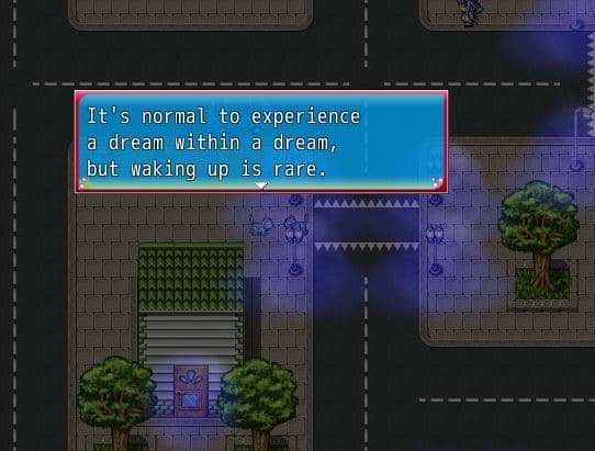 A Cats Dream