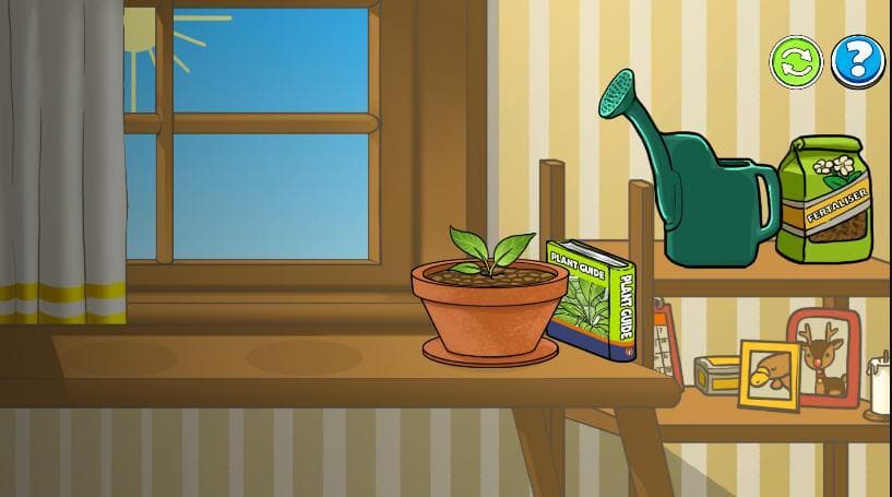 Plant (Monotreme)