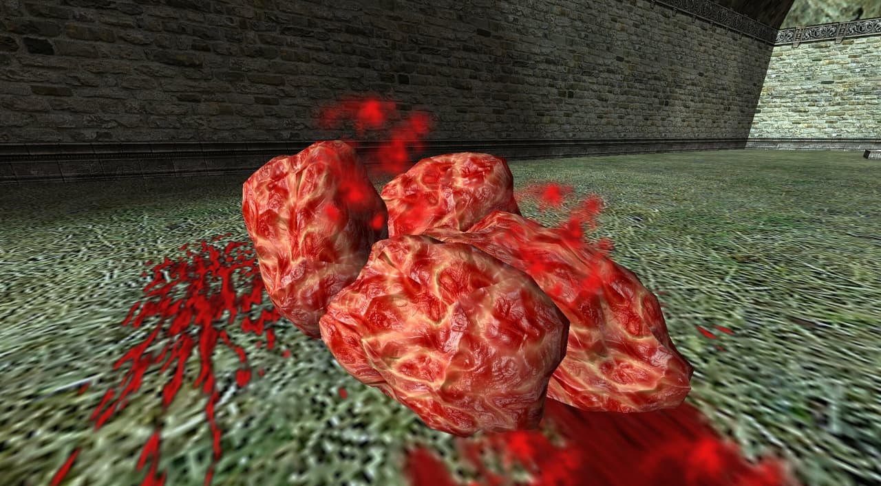 HQ Flesh / Gibs screenshot 4