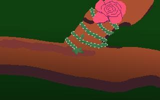 Leaves!