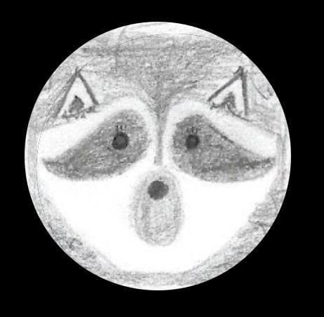Raccoonundrum screenshot 2