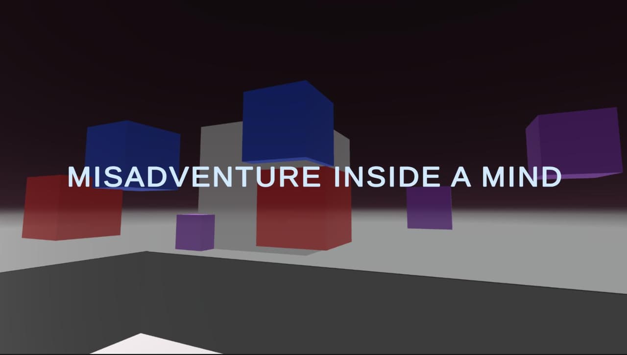 MISADVENTURE INSIDE A MIND