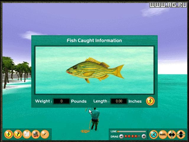Saltwater Fly Fishing