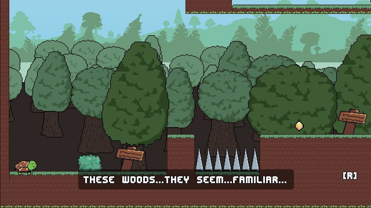 TurtleRun screenshot 2