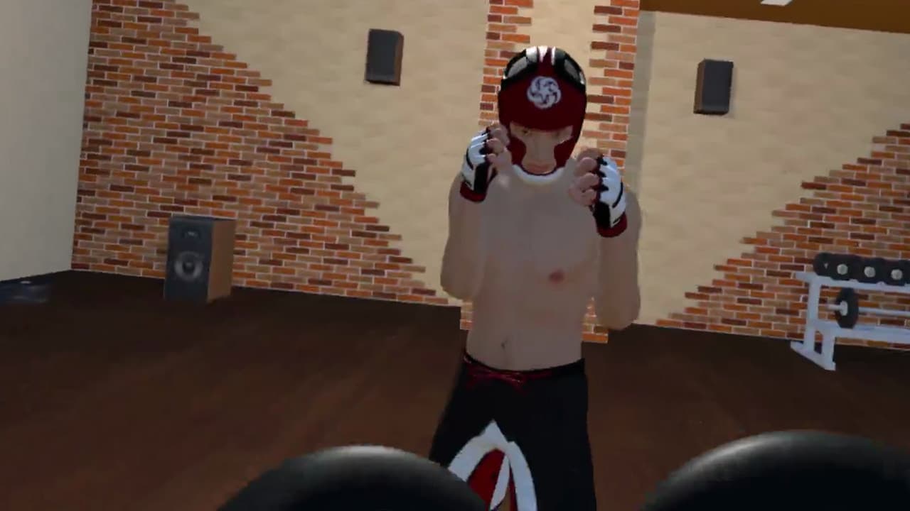 Fight Sparring VR screenshot 5