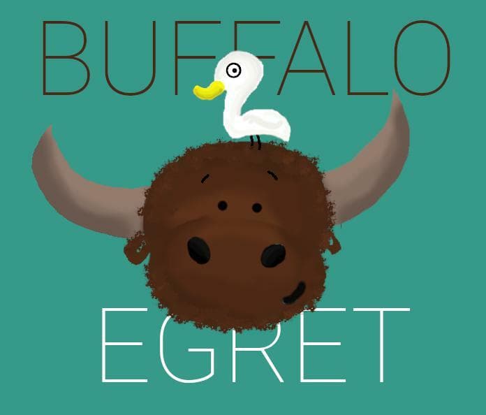 Buffalo and Egret