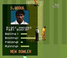 Super International Cricket screenshot 6