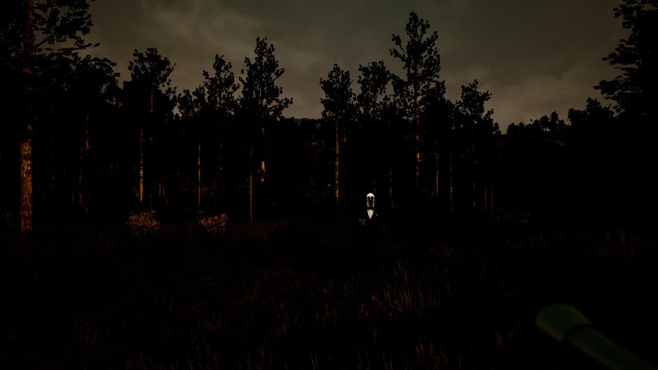 Violation screenshot 5