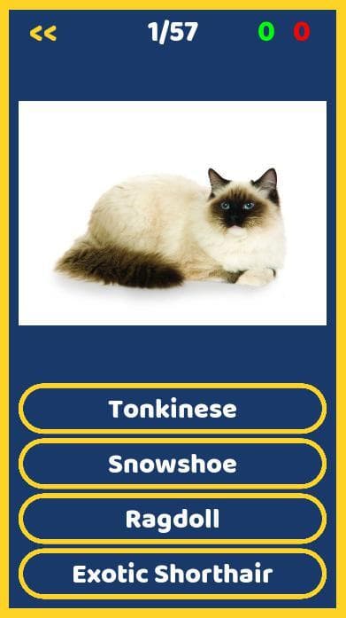Cats Quiz (godotgames32d) screenshot 3