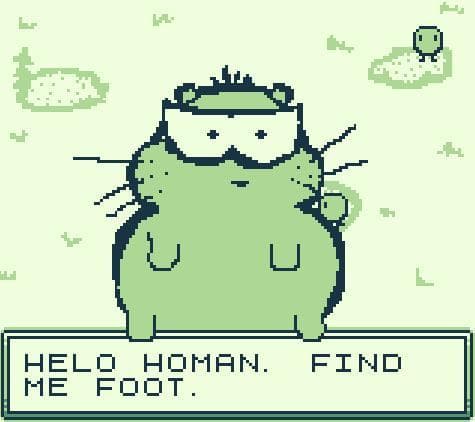 Hamster Footure