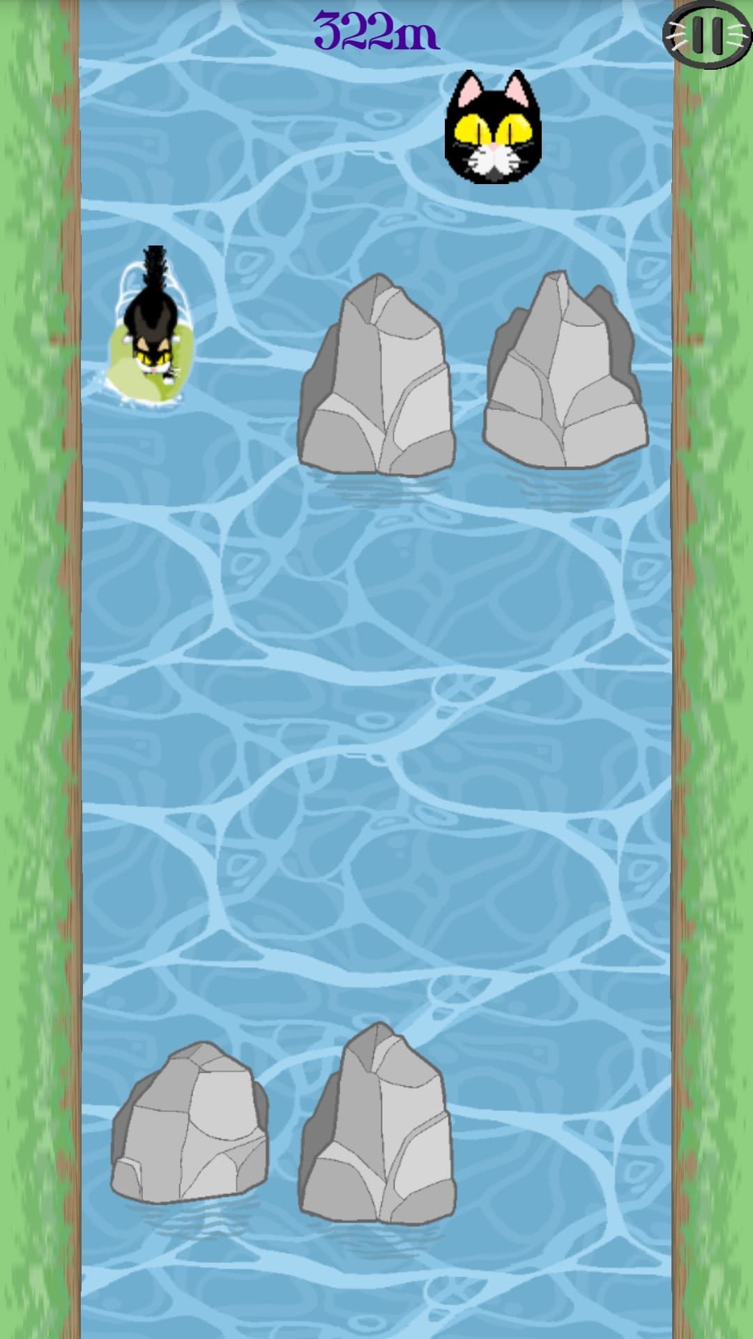 CatRaft screenshot 2