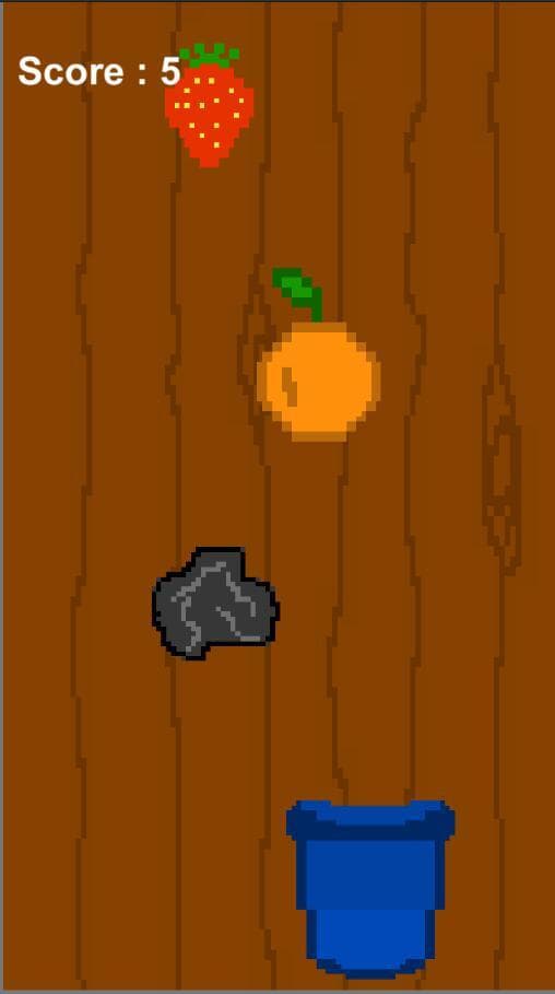 Fruits Collector